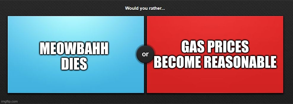 Would you rather | GAS PRICES BECOME REASONABLE; MEOWBAHH DIES | image tagged in would you rather,meow,cringe,gas,gas prices,nerd | made w/ Imgflip meme maker