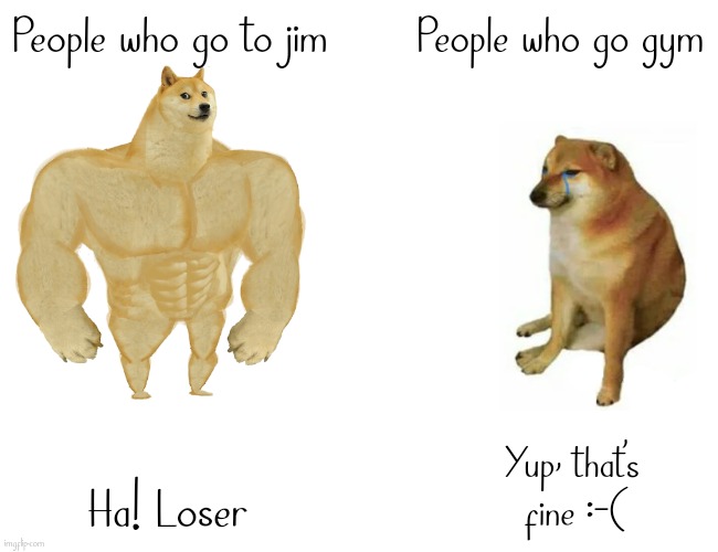 Buff Doge vs. Cheems Meme | People who go to jim; People who go gym; Yup, that's fine :-(; Ha! Loser | image tagged in memes,buff doge vs cheems | made w/ Imgflip meme maker