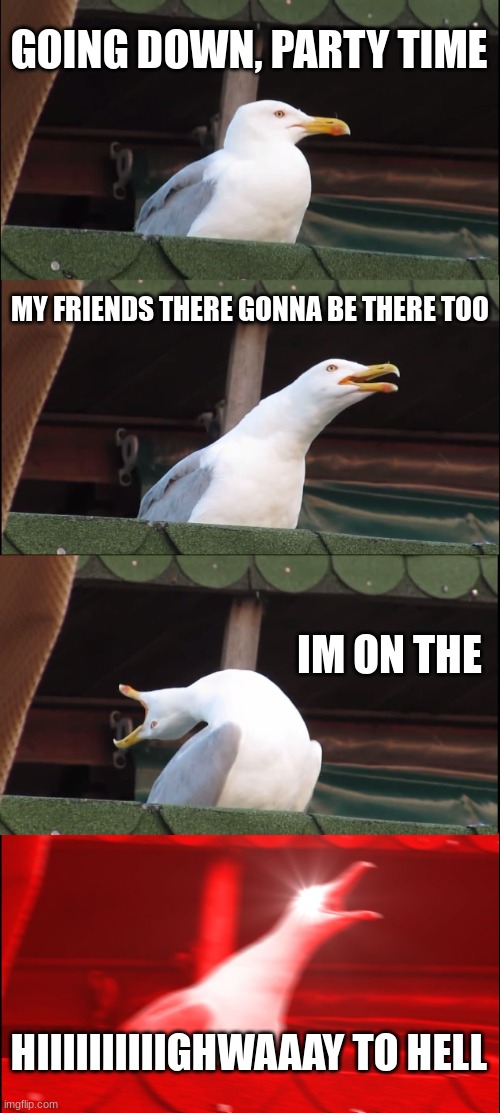 if you know you know. | GOING DOWN, PARTY TIME; MY FRIENDS THERE GONNA BE THERE TOO; IM ON THE; HIIIIIIIIIIGHWAAAY TO HELL | image tagged in memes,inhaling seagull | made w/ Imgflip meme maker