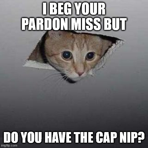 Cat | I BEG YOUR PARDON MISS BUT; DO YOU HAVE THE CAP NIP? | image tagged in memes,ceiling cat | made w/ Imgflip meme maker