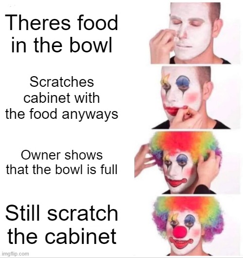 My dog in a nutshell | Theres food in the bowl; Scratches cabinet with the food anyways; Owner shows that the bowl is full; Still scratch the cabinet | image tagged in memes,clown applying makeup | made w/ Imgflip meme maker