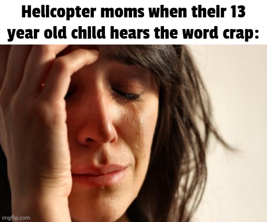 "No swearing on my family friendly Christian Minecraft server!!!" | Helicopter moms when their 13 year old child hears the word crap: | image tagged in memes,first world problems | made w/ Imgflip meme maker