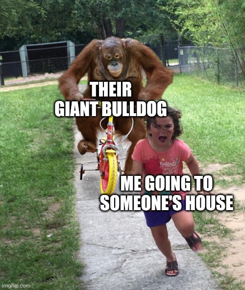 Then it bites my kneecap | THEIR GIANT BULLDOG; ME GOING TO SOMEONE'S HOUSE | image tagged in orangutan chasing girl on a tricycle | made w/ Imgflip meme maker