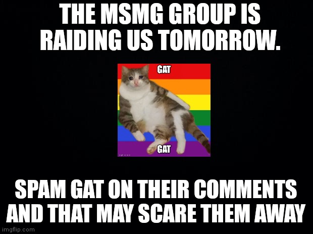 Black background | THE MSMG GROUP IS RAIDING US TOMORROW. SPAM GAT ON THEIR COMMENTS AND THAT MAY SCARE THEM AWAY | image tagged in black background | made w/ Imgflip meme maker