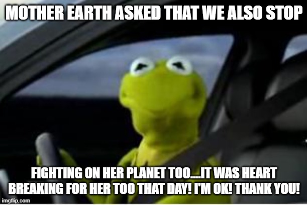 Kermit the frog | MOTHER EARTH ASKED THAT WE ALSO STOP FIGHTING ON HER PLANET TOO....IT WAS HEART BREAKING FOR HER TOO THAT DAY! I'M OK! THANK YOU! | image tagged in kermit the frog | made w/ Imgflip meme maker