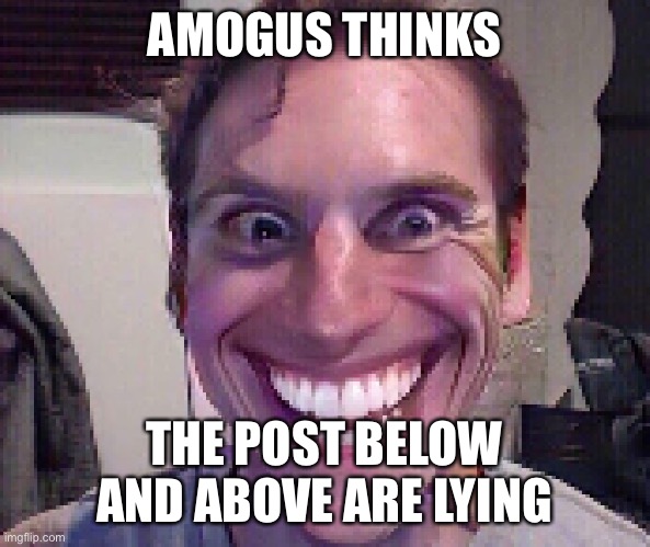 A | AMOGUS THINKS; THE POST BELOW AND ABOVE ARE LYING | image tagged in when the imposter is sus,memes,funny,paradox,lol,why are you reading this | made w/ Imgflip meme maker