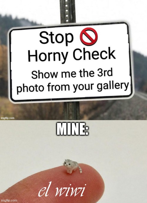 MINE: | image tagged in horny check | made w/ Imgflip meme maker