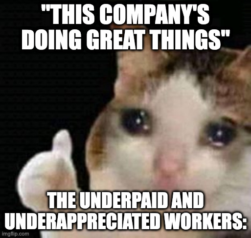 Underpaid/Underappreciated workers | "THIS COMPANY'S DOING GREAT THINGS"; THE UNDERPAID AND UNDERAPPRECIATED WORKERS: | image tagged in sad thumbs up cat,work memes,work stress,work | made w/ Imgflip meme maker