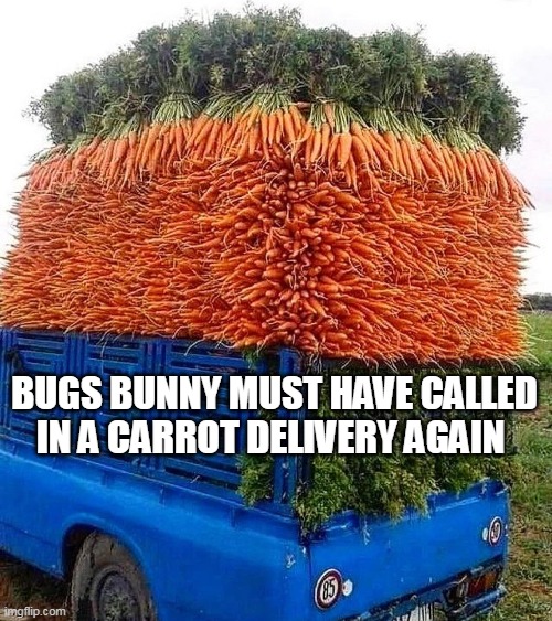 A Dozen for a Dime, It's Madness | BUGS BUNNY MUST HAVE CALLED IN A CARROT DELIVERY AGAIN | image tagged in meme,memes,humor | made w/ Imgflip meme maker