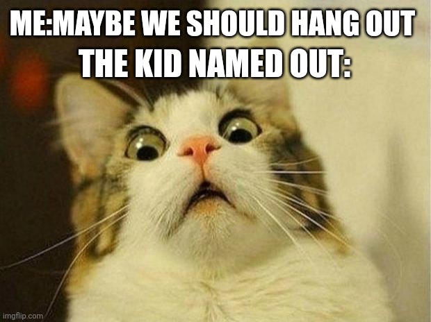 I saw this on memenade | THE KID NAMED OUT:; ME:MAYBE WE SHOULD HANG OUT | image tagged in memes,scared cat | made w/ Imgflip meme maker