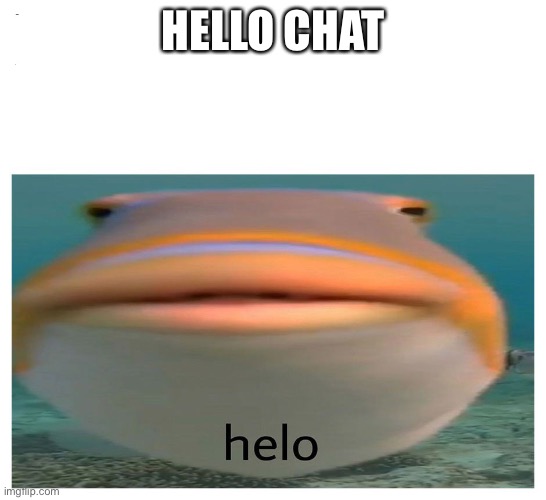 What did i miss | HELLO CHAT | image tagged in henlo fish | made w/ Imgflip meme maker