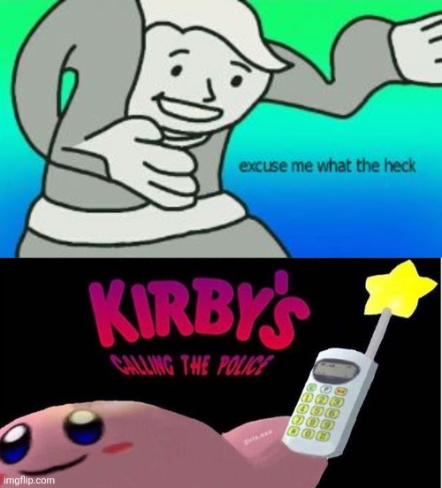 image tagged in excuse me what the heck,kirby's calling the police | made w/ Imgflip meme maker