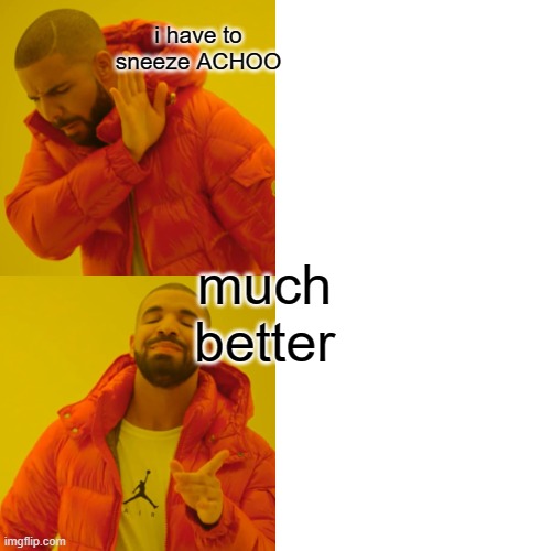 achoo :) | i have to sneeze ACHOO; much better | image tagged in memes,drake hotline bling | made w/ Imgflip meme maker