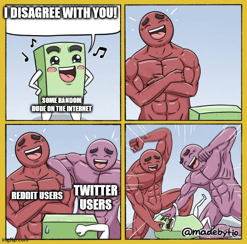 POV: The Internet | I DISAGREE WITH YOU! SOME RANDOM DUDE ON THE INTERNET; REDDIT USERS; TWITTER USERS | image tagged in guy getting beat up,twitter meme | made w/ Imgflip meme maker