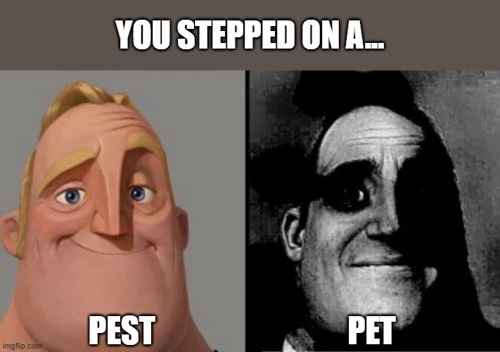 Step on pest is better than stepping on pet | YOU STEPPED ON A... PEST; PET | image tagged in traumatized mr incredible | made w/ Imgflip meme maker