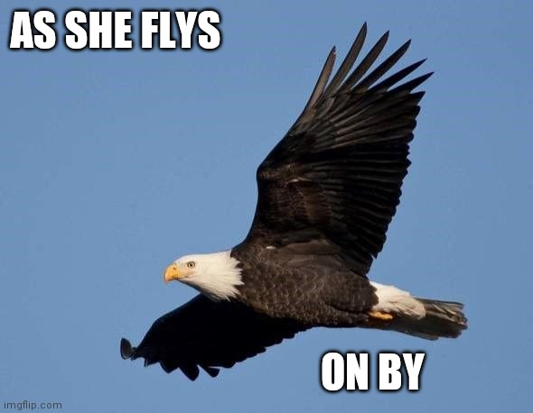 Does She Look Down | AS SHE FLYS; ON BY | image tagged in high flyin bird,usa,9/11 | made w/ Imgflip meme maker