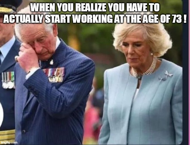 WHEN YOU REALIZE YOU HAVE TO ACTUALLY START WORKING AT THE AGE OF 73 ! | image tagged in funny memes | made w/ Imgflip meme maker