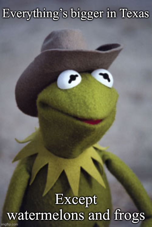 Texan Frog | Everything’s bigger in Texas Except watermelons and frogs | image tagged in texas kermit,going to need a bigger boat,texas | made w/ Imgflip meme maker