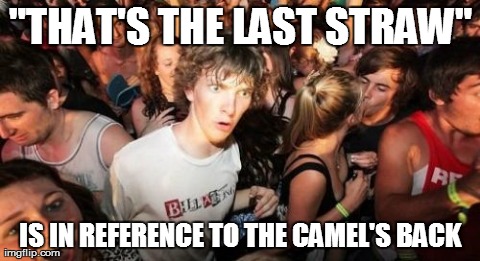 Sudden Clarity Clarence | "THAT'S THE LAST STRAW" IS IN REFERENCE TO THE CAMEL'S BACK | image tagged in memes,sudden clarity clarence,AdviceAnimals | made w/ Imgflip meme maker