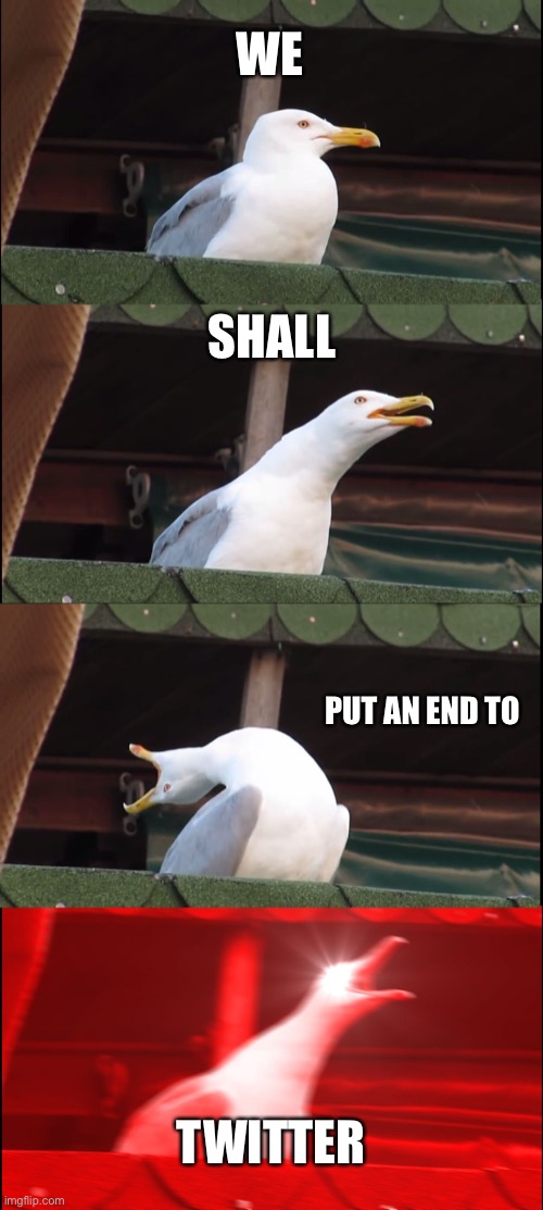 We shall end this platform and if you guys are with me join the anti twitter stream | WE; SHALL; PUT AN END TO; TWITTER | image tagged in memes,inhaling seagull,twitter | made w/ Imgflip meme maker