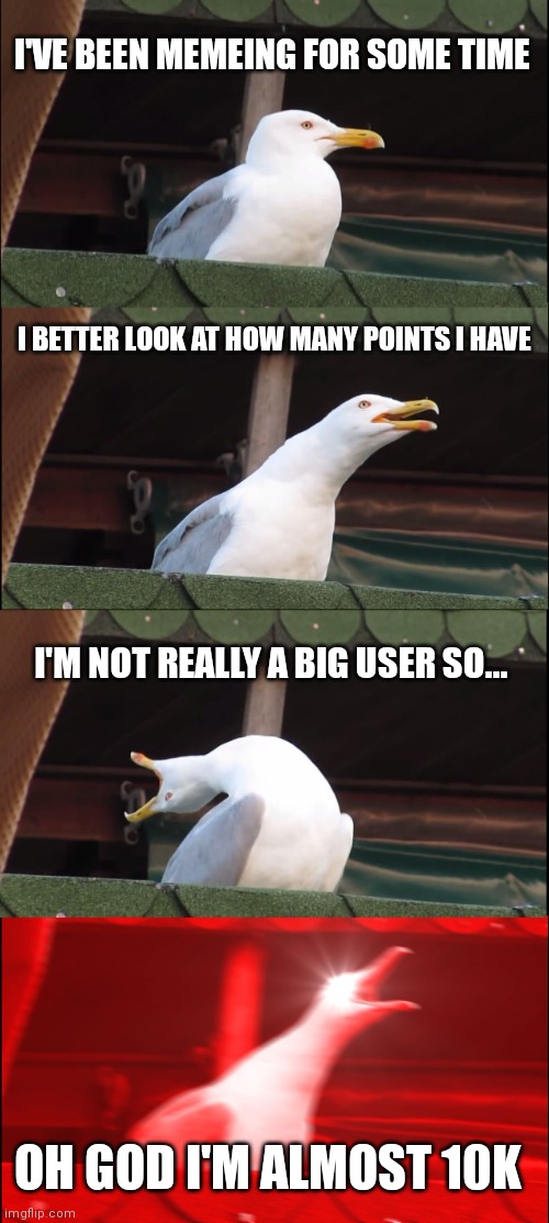 Thanks to everyone who helped me get this far | I'VE BEEN MEMEING FOR SOME TIME; I BETTER LOOK AT HOW MANY POINTS I HAVE; I'M NOT REALLY A BIG USER SO... OH GOD I'M ALMOST 10K | image tagged in memes,inhaling seagull | made w/ Imgflip meme maker