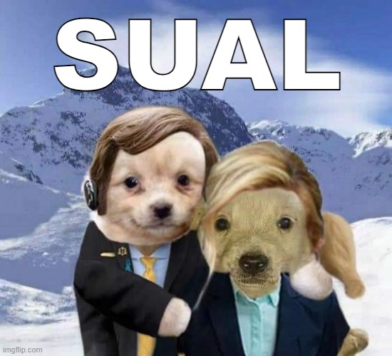 SUAL | made w/ Imgflip meme maker