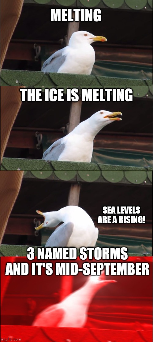 The Earth Does Not Care About You | MELTING; THE ICE IS MELTING; SEA LEVELS ARE A RISING! 3 NAMED STORMS AND IT'S MID-SEPTEMBER | image tagged in inhaling seagull,george carlin,the scroll of truth,found,eyes wide open | made w/ Imgflip meme maker