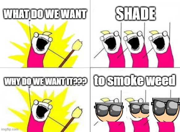 guess shade likes weed | WHAT DO WE WANT; SHADE; to smoke weed; WHY DO WE WANT IT??? | image tagged in memes,what do we want,shade | made w/ Imgflip meme maker