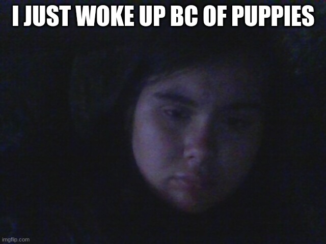 just woke up | I JUST WOKE UP BC OF PUPPIES | image tagged in funny | made w/ Imgflip meme maker