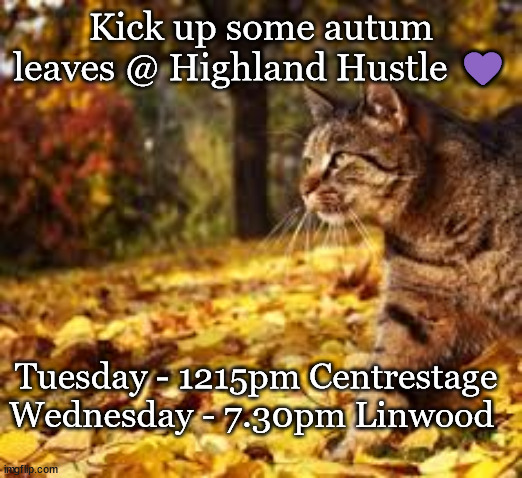 Autumn Hustle Cat | Kick up some autum leaves @ Highland Hustle 💜; Tuesday - 1215pm Centrestage
Wednesday - 7.30pm Linwood | image tagged in cat,hustle,scottish,fitness | made w/ Imgflip meme maker