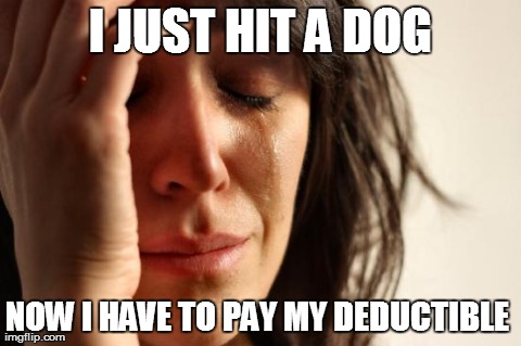first world problems | I JUST HIT A DOG NOW I HAVE TO PAY MY DEDUCTIBLE | image tagged in memes,first world problems,insurance,dog | made w/ Imgflip meme maker