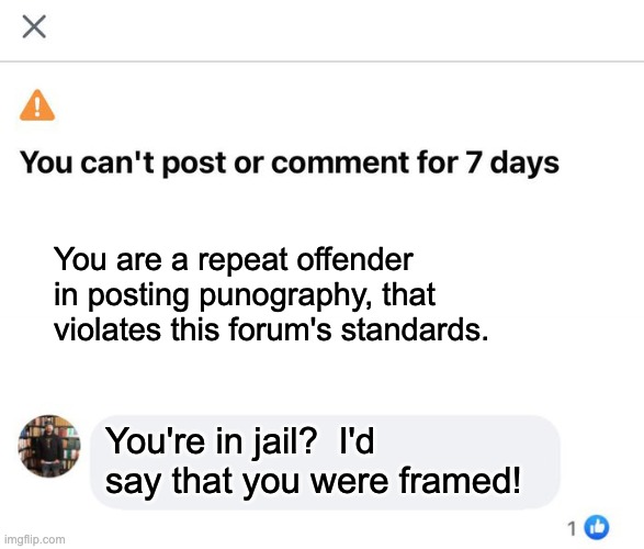Jail | You are a repeat offender in posting punography, that violates this forum's standards. You're in jail?  I'd say that you were framed! | image tagged in bad pun | made w/ Imgflip meme maker