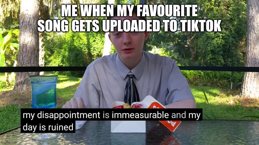 My Disappointment Is Immeasurable | ME WHEN MY FAVOURITE SONG GETS UPLOADED TO TIKTOK | image tagged in my disappointment is immeasurable,tiktok,tiktok sucks | made w/ Imgflip meme maker