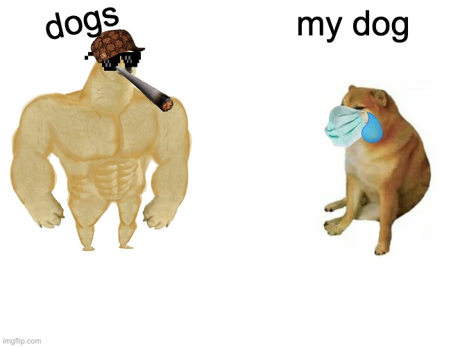 dog | dogs; my dog | image tagged in memes,buff doge vs cheems | made w/ Imgflip meme maker
