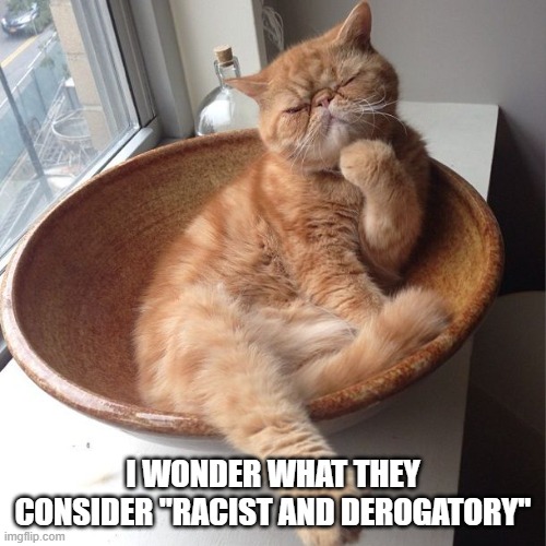 Wondering cat | I WONDER WHAT THEY CONSIDER "RACIST AND DEROGATORY" | image tagged in wondering cat | made w/ Imgflip meme maker