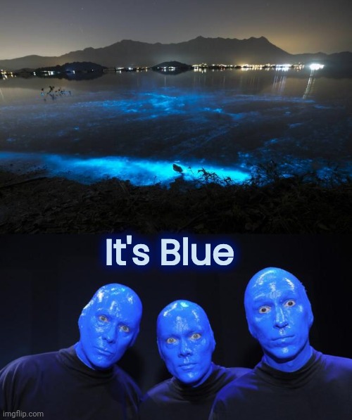 It's Blue | image tagged in blue man group | made w/ Imgflip meme maker