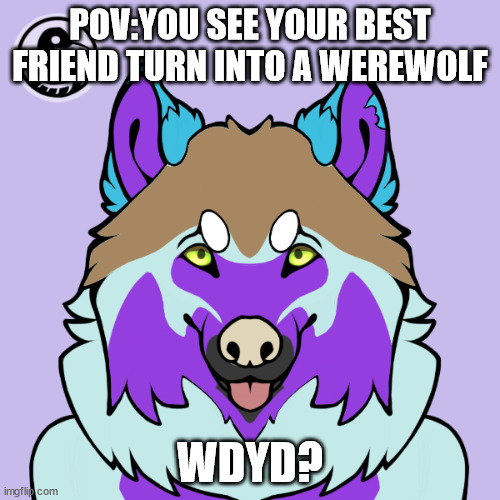 No joke rp and No erp lmao you're crazy | POV:YOU SEE YOUR BEST FRIEND TURN INTO A WEREWOLF; WDYD? | made w/ Imgflip meme maker