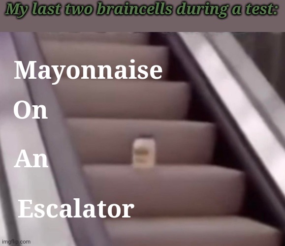 SEE YOU LATER | My last two braincells during a test:; Mayonnaise; On; An; Escalator | image tagged in mayonnaise on an escalator,memes,gifs | made w/ Imgflip meme maker