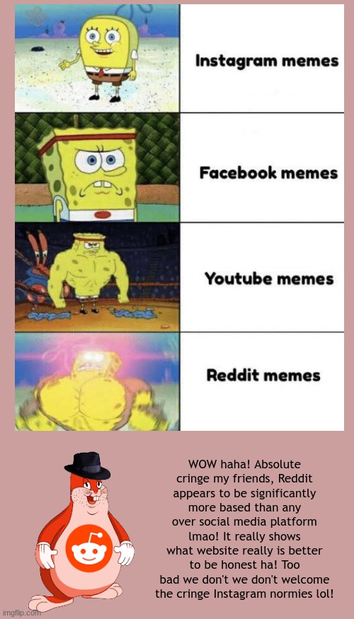 This took 15 minutes to make... | WOW haha! Absolute cringe my friends, Reddit appears to be significantly more based than any over social media platform lmao! It really shows what website really is better to be honest ha! Too bad we don't we don't welcome the cringe Instagram normies lol! | made w/ Imgflip meme maker