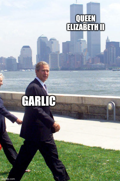 Ye shall know the truth, and the truth shall set you free | QUEEN ELIZABETH II; GARLIC | image tagged in bush twin towers | made w/ Imgflip meme maker