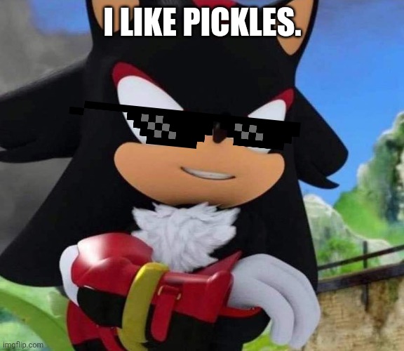 Shadow the Hedgehog | I LIKE PICKLES. | image tagged in shadow the hedgehog | made w/ Imgflip meme maker