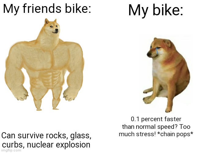 It's true for me | My friends bike:; My bike:; 0.1 percent faster than normal speed? Too much stress! *chain pops*; Can survive rocks, glass, curbs, nuclear explosion | image tagged in memes,buff doge vs cheems | made w/ Imgflip meme maker