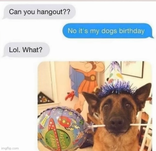 image tagged in funny memes | made w/ Imgflip meme maker