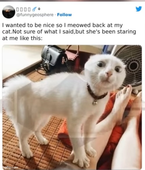 image tagged in funny memes | made w/ Imgflip meme maker
