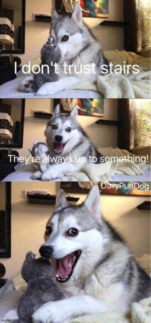 image tagged in puns | made w/ Imgflip meme maker