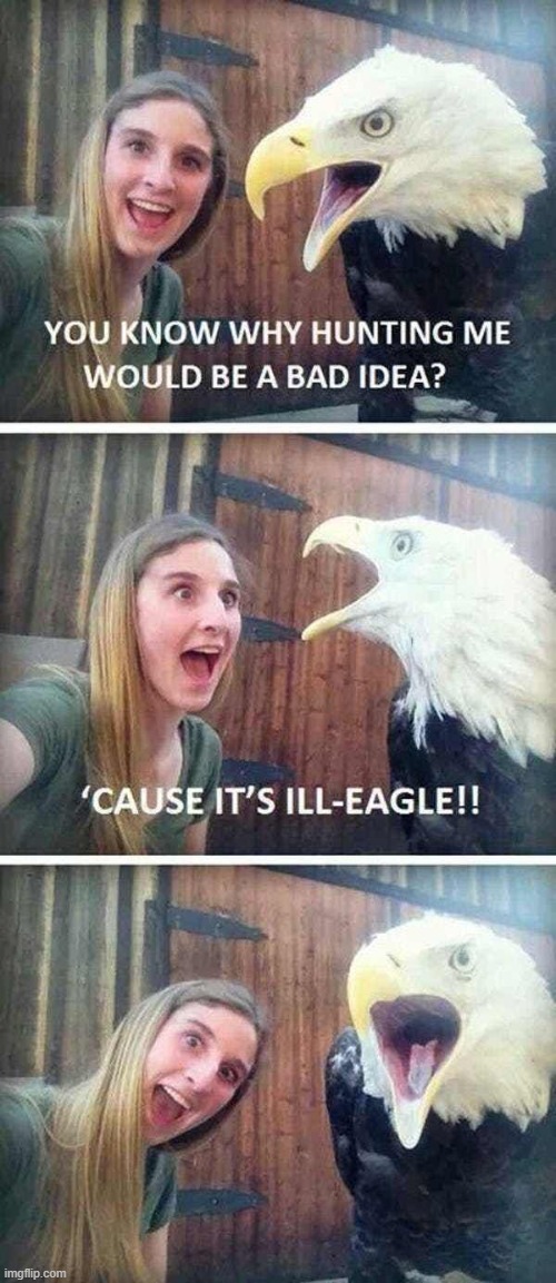 image tagged in puns | made w/ Imgflip meme maker