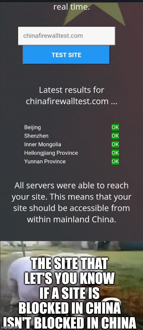 THE SITE THAT LET'S YOU KNOW IF A SITE IS BLOCKED IN CHINA ISN'T BLOCKED IN CHINA | image tagged in huh dog | made w/ Imgflip meme maker