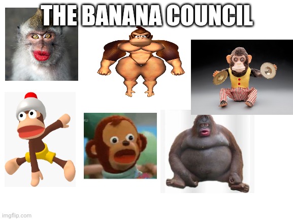 Bornana council. They can make orange rhyme with banana | THE BANANA COUNCIL | image tagged in blank white template | made w/ Imgflip meme maker