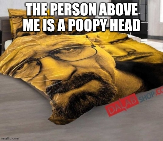 Breaking Bed | THE PERSON ABOVE ME IS A POOPY HEAD | image tagged in breaking bed | made w/ Imgflip meme maker