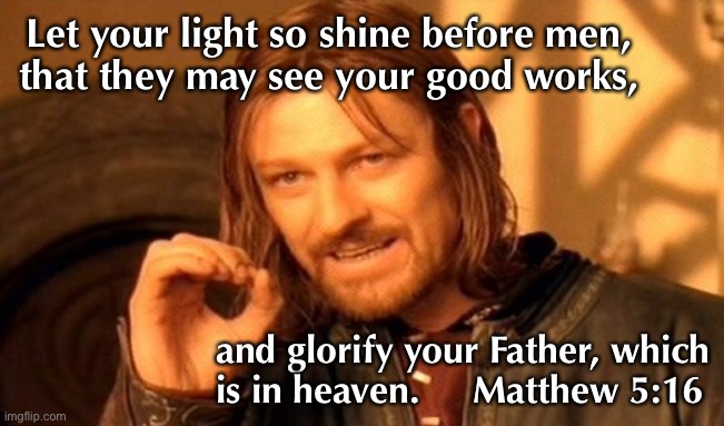 Reflect the Light | Let your light so shine before men,
that they may see your good works, and glorify your Father, which
is in heaven.     Matthew 5:16 | image tagged in memes,one does not simply | made w/ Imgflip meme maker